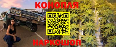 стафф Коммунар