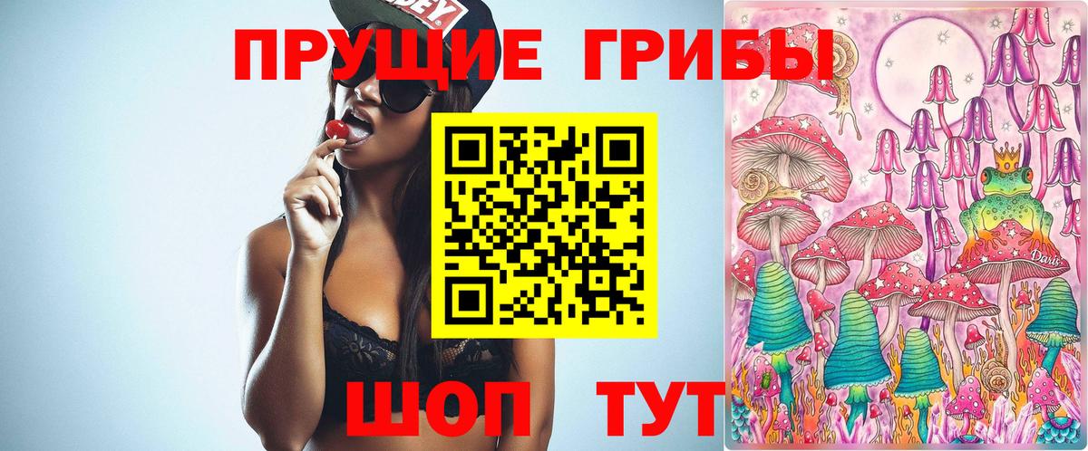 Галлюциногенные грибы Psilocybe  Вход с VPN  закладка  Благовещенск 
